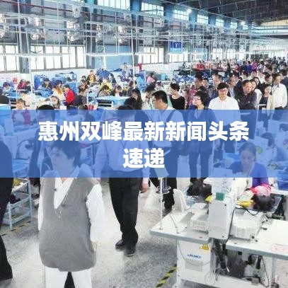 惠州双峰最新新闻头条速递