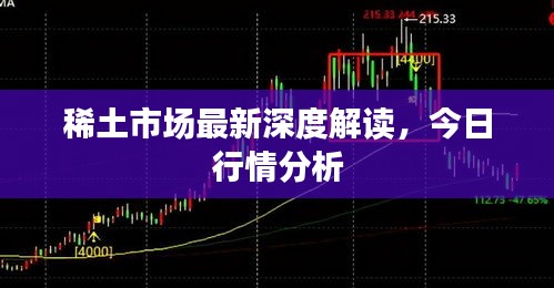 稀土市场最新深度解读，今日行情分析