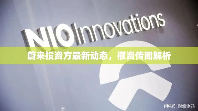 蔚来投资方最新动态，撤资传闻解析