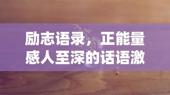 联系我们 第71页