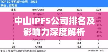 中山IPFS公司排名及影响力深度解析