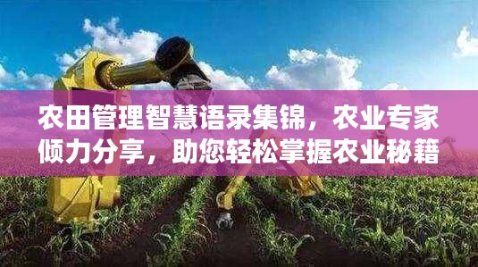 农田管理智慧语录集锦，农业专家倾力分享，助您轻松掌握农业秘籍！