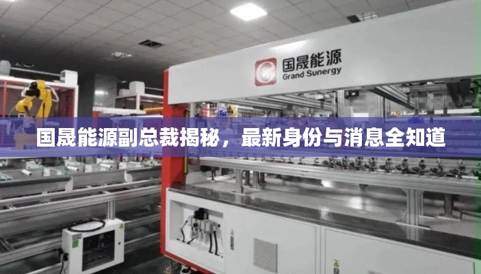 国晟能源副总裁揭秘，最新身份与消息全知道