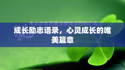 成长励志语录，心灵成长的唯美篇章