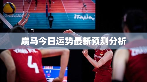 扇马今日运势最新预测分析