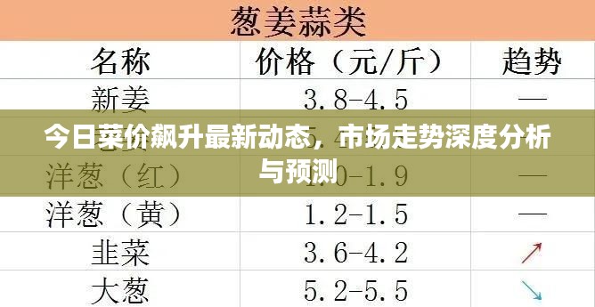 今日菜价飙升最新动态，市场走势深度分析与预测