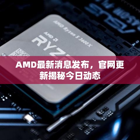 AMD最新消息发布，官网更新揭秘今日动态