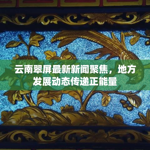 云南翠屏最新新闻聚焦，地方发展动态传递正能量