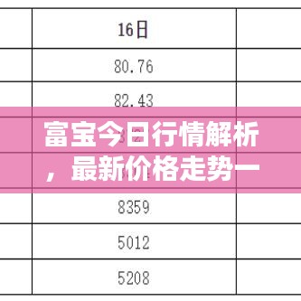 富宝今日行情解析，最新价格走势一览