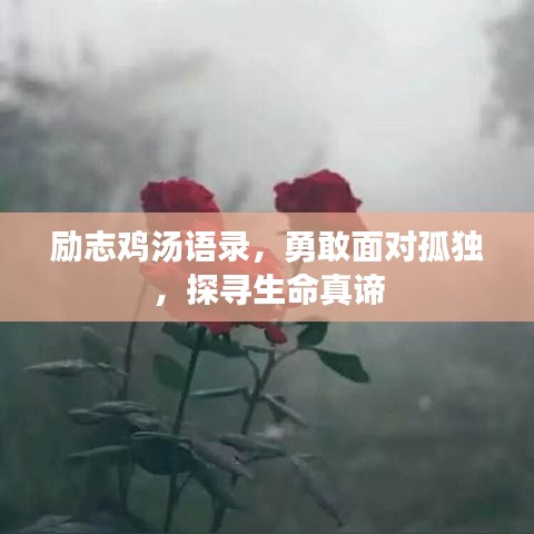 励志鸡汤语录，勇敢面对孤独，探寻生命真谛