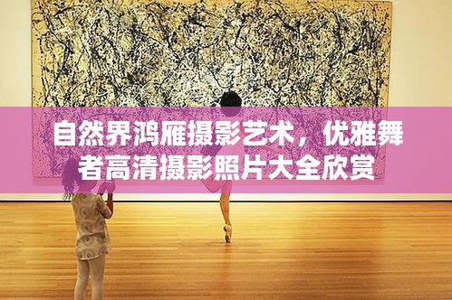 自然界鸿雁摄影艺术，优雅舞者高清摄影照片大全欣赏