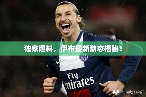 独家爆料，伊布最新动态揭秘！