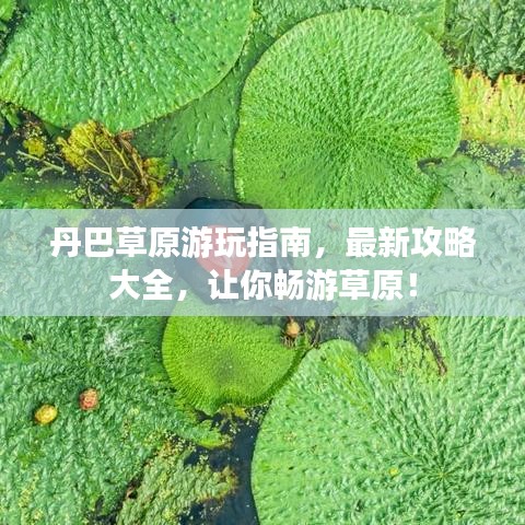 丹巴草原游玩指南，最新攻略大全，让你畅游草原！