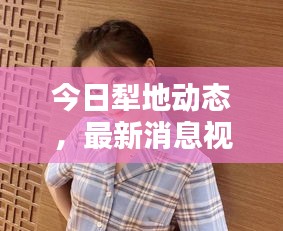 今日犁地动态，最新消息视频发布