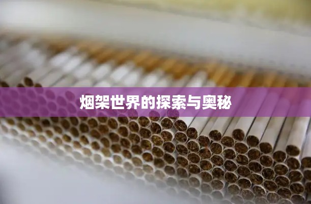 笨鸟先飞 第2页