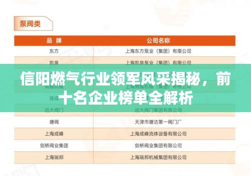 信阳燃气行业领军风采揭秘，前十名企业榜单全解析