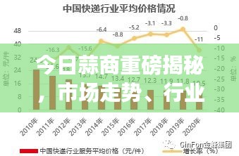今日蒜商重磅揭秘，市场走势、行业趋势及未来展望最新消息速递