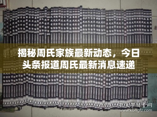 轻飞曼舞 第2页