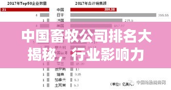中国畜牧公司排名大揭秘，行业影响力不容小觑！
