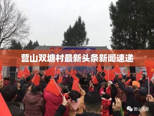 营山双塘村最新头条新闻速递