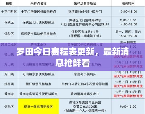 罗田今日赛程表更新，最新消息抢鲜看