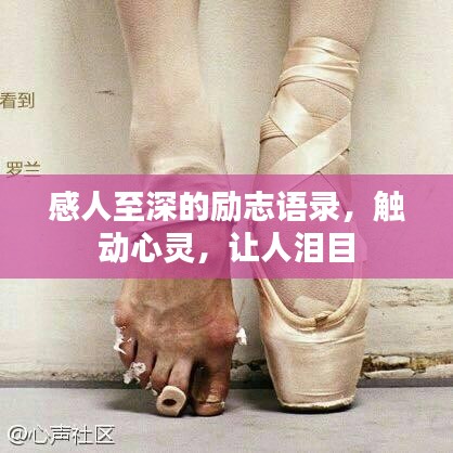 感人至深的励志语录，触动心灵，让人泪目