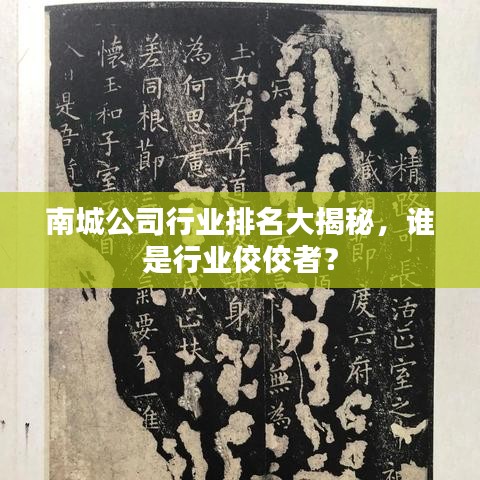 南城公司行业排名大揭秘，谁是行业佼佼者？