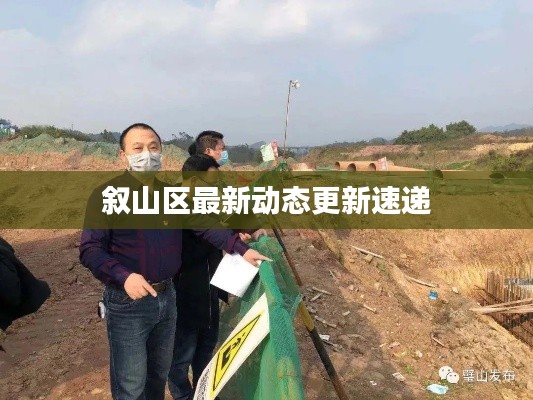 叙山区最新动态更新速递
