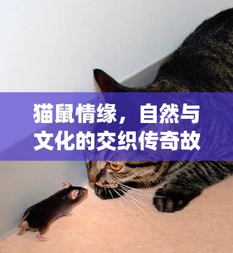 真独简贵 第2页
