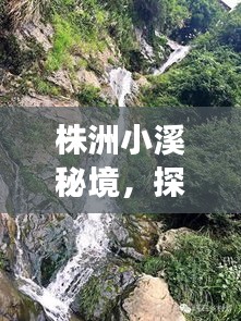 株洲小溪秘境，探秘绝美风光，必看的旅游攻略！