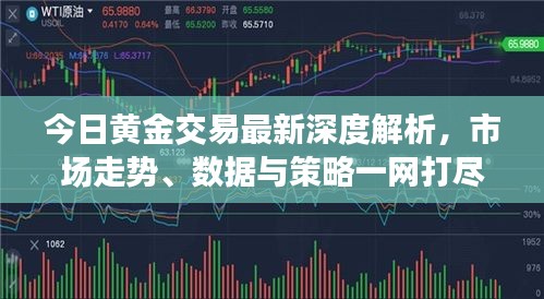 今日黄金交易最新深度解析，市场走势、数据与策略一网打尽