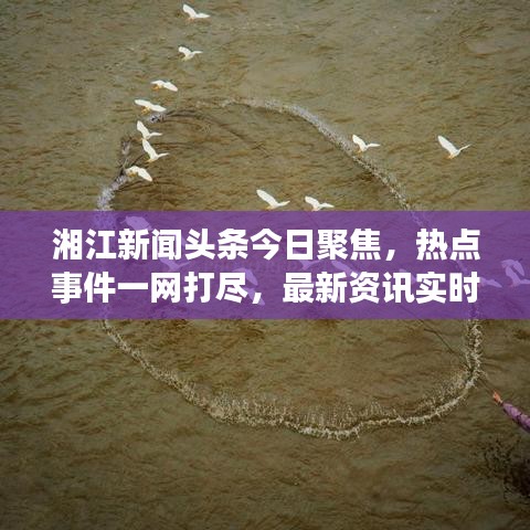 湘江新闻头条今日聚焦，热点事件一网打尽，最新资讯实时传递