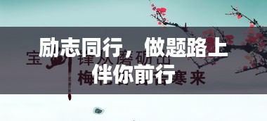 励志同行，做题路上伴你前行