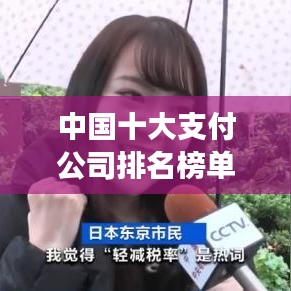 中国十大支付公司排名榜单揭晓，行业格局与发展趋势深度解析