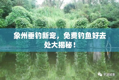 象州垂钓新宠，免费钓鱼好去处大揭秘！