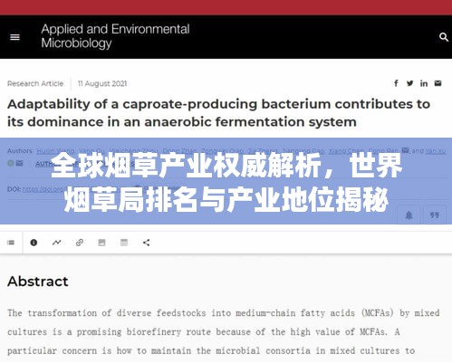 全球烟草产业权威解析，世界烟草局排名与产业地位揭秘