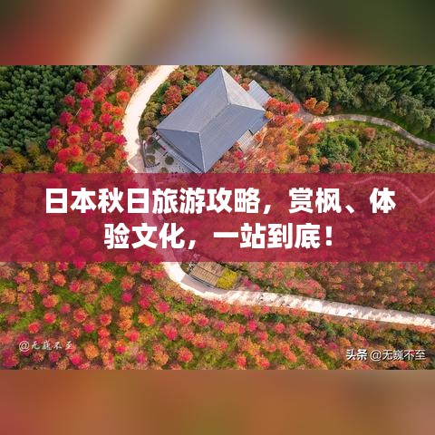 日本秋日旅游攻略，赏枫、体验文化，一站到底！