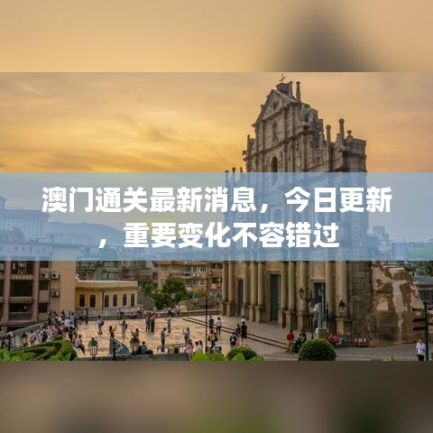 澳门通关最新消息，今日更新，重要变化不容错过