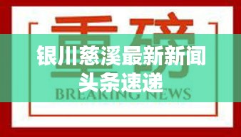 银川慈溪最新新闻头条速递