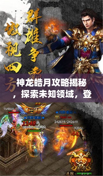 神龙皓月攻略揭秘，探索未知领域，登顶游戏巅峰