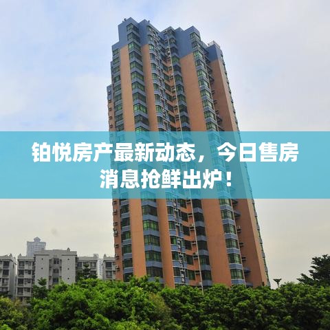 铂悦房产最新动态，今日售房消息抢鲜出炉！