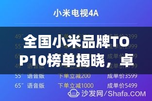 全国小米品牌TOP10榜单揭晓，卓越成就与未来展望