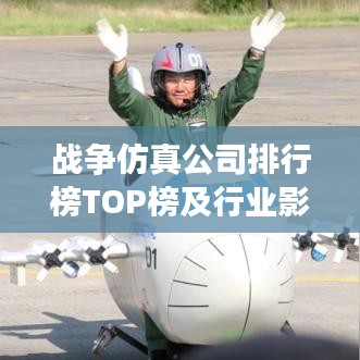 战争仿真公司排行榜TOP榜及行业影响力解析