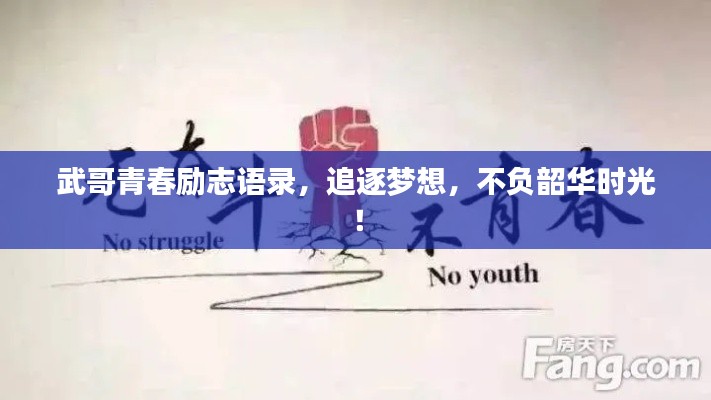 武哥青春励志语录，追逐梦想，不负韶华时光！