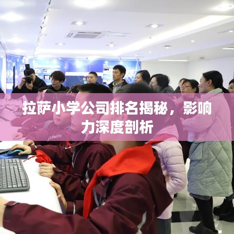 拉萨小学公司排名揭秘，影响力深度剖析