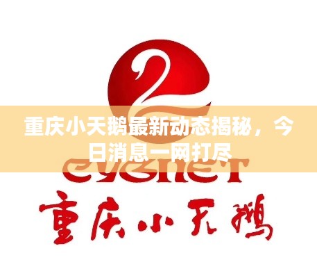 重庆小天鹅最新动态揭秘，今日消息一网打尽