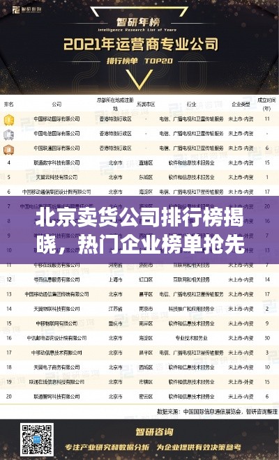 北京卖货公司排行榜揭晓，热门企业榜单抢先看！