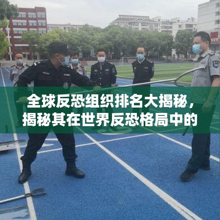 全球反恐组织排名大揭秘，揭秘其在世界反恐格局中的关键作用