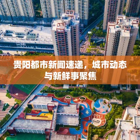 贵阳都市新闻速递，城市动态与新鲜事聚焦