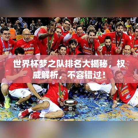 世界杯梦之队排名大揭秘，权威解析，不容错过！
